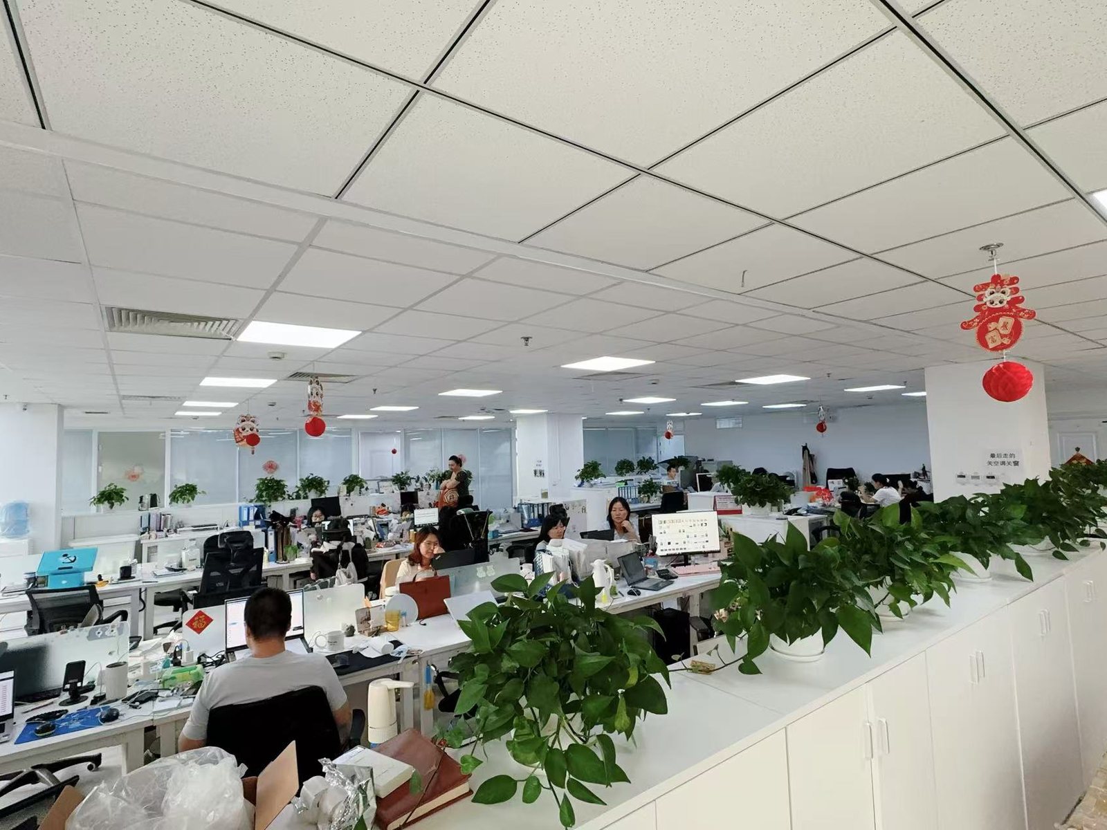 Starsurge Group team office workspace
